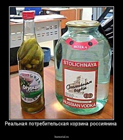 Реальная потребительская корзина россиянина 