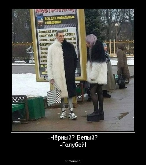 -Чёрный? Белый?
-Голубой!
