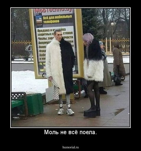 Моль не всё поела.