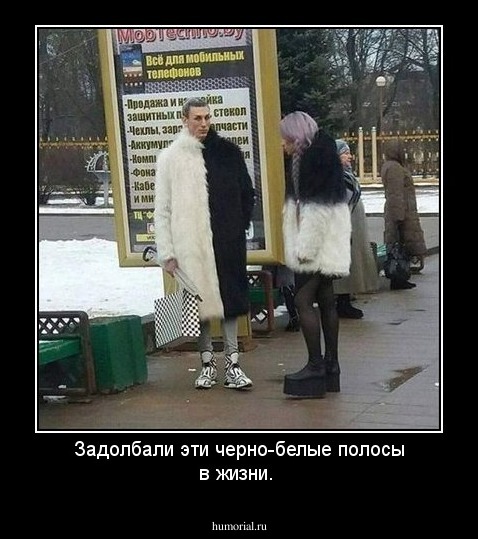 Задолбали эти черно-белые полосы в жизни.