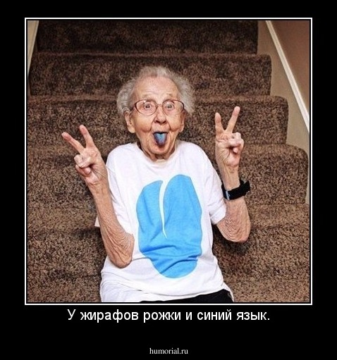 У жирафов рожки и синий язык.