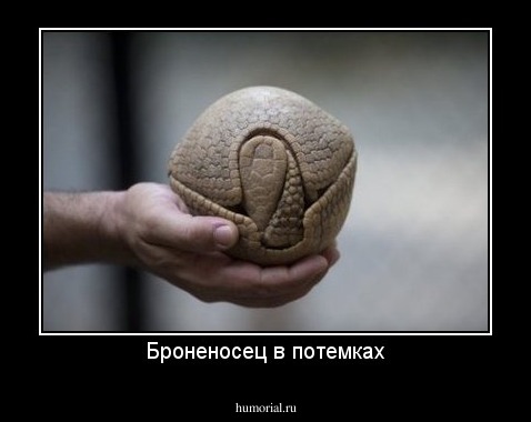 Броненосец в потемках