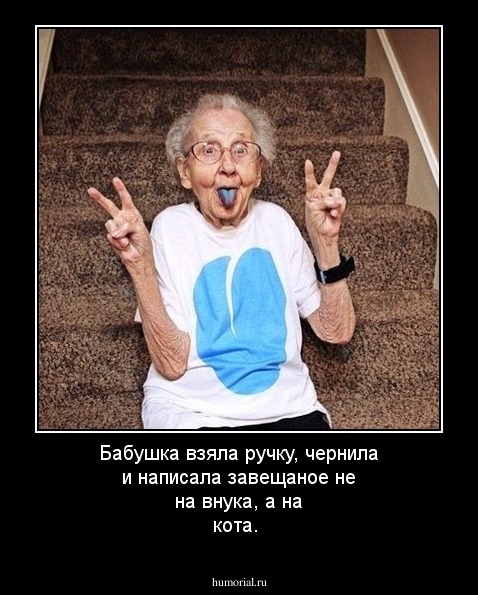 Бабушка взяла ручку, чернила и написала завещаное не на внука, а на кота.