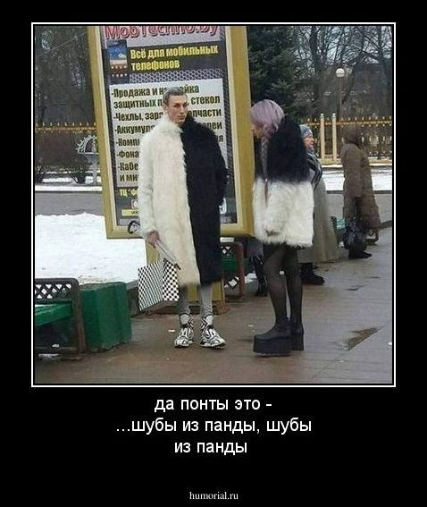 да понты это - ...шубы из панды, шубы из панды