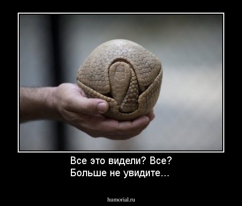 Все это видели? Все? Больше не увидите...
