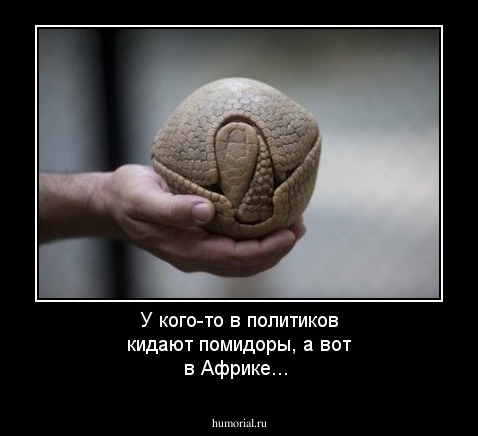 У кого-то в политиков кидают помидоры, а вот в Африке...