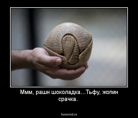 Ммм, рашн шоколадка...Тьфу, жопин срачка.