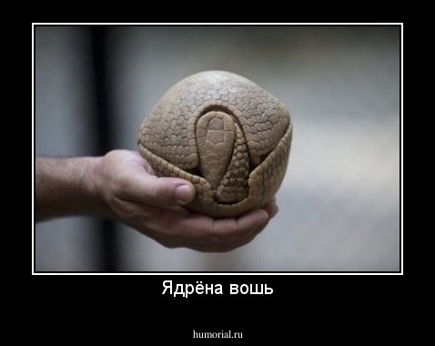Ядрёна вошь