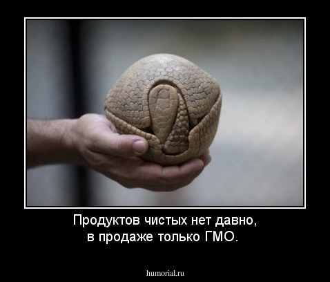 Продуктов  чистых  нет   давно,  в продаже  только    ГМО.