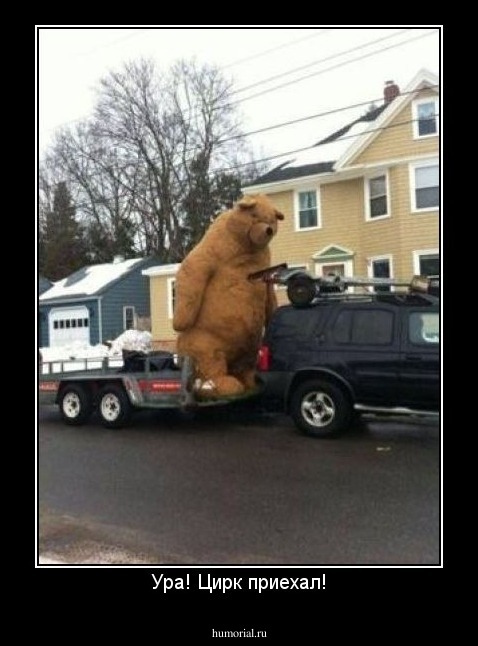 Ура! Цирк приехал!
