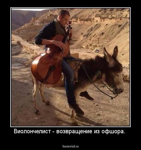 Виолончелист - возвращение из офшора. 