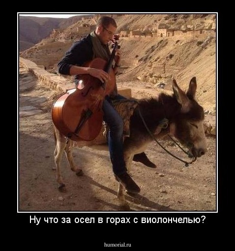 Ну что за осел в горах с виолончелью?