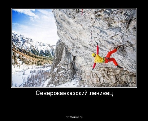 Северокавказский ленивец
