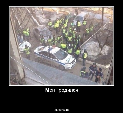 Мент родился

