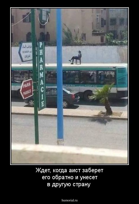 Ждет, когда аист заберет его обратно и унесет в другую страну