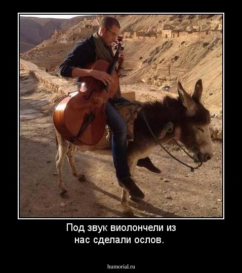 Под звук виолончели из нас  сделали ослов.