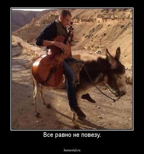 Все равно не повезу.