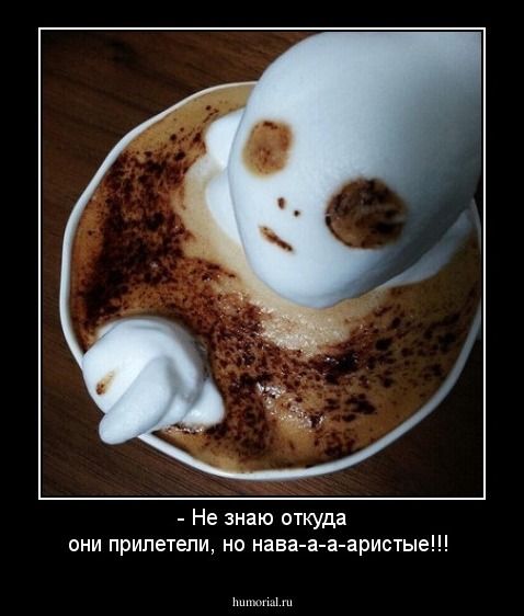 - Не знаю откуда они прилетели, но нава-а-а-аристые!!!
