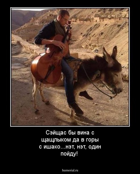 Сэйщас бы вина с щащлыком да в горы с ишако...нэт, нэт, один пойду!