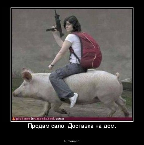 Продам сало. Доставка на дом.