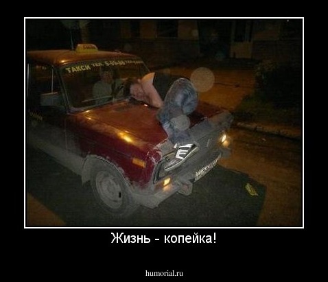 Жизнь - копейка!