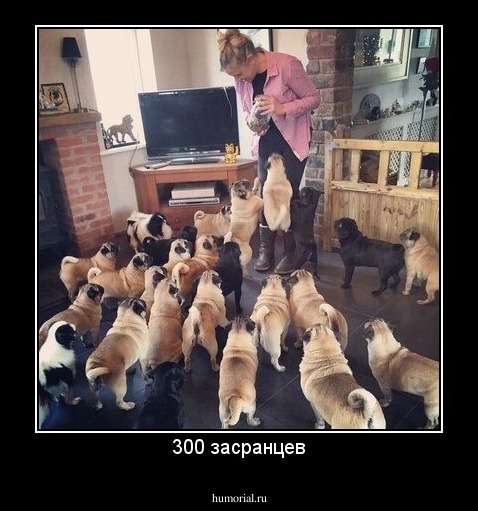 300 засранцев