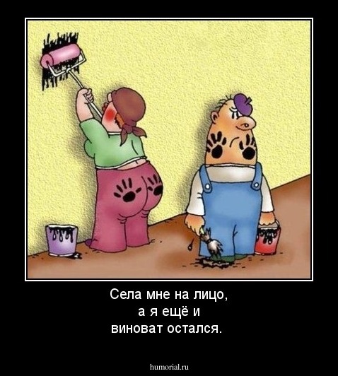 Села мне на лицо, а я ещё и виноват остался.