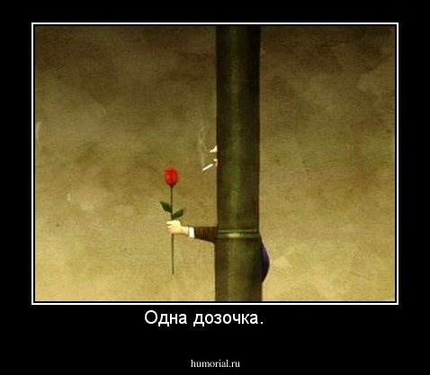 Одна дозочка.    