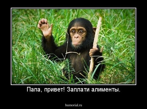 Папа, привет! Заплати алименты.