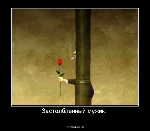 Застолбленный мужик. 