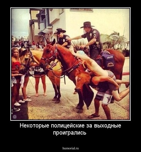 Некоторые полицейские за выходные проигрались