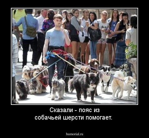 Сказали - пояс из собачьей шерсти помогает.