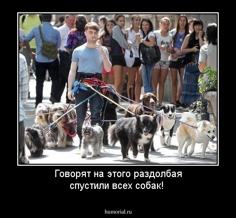 Говорят на этого раздолбая спустили всех собак!