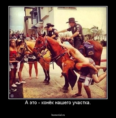 А это - конёк нашего участка.