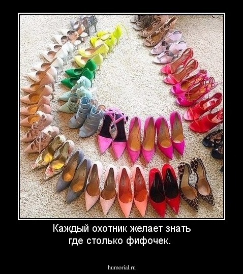 Каждый охотник желает знать где столько фифочек.
