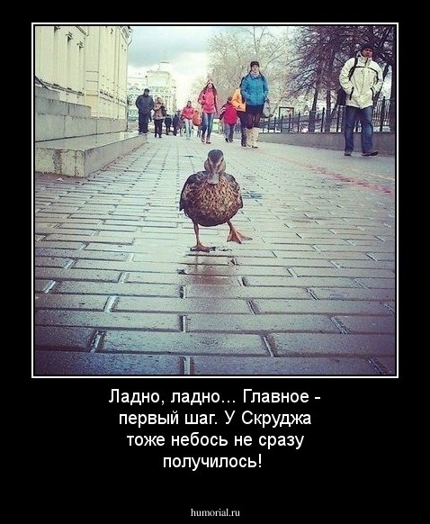 Ладно, ладно... Главное - первый шаг. У Скруджа тоже небось не сразу получилось!