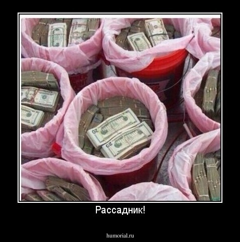 Рассадник!
