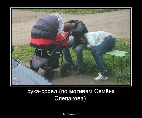 сука-сосед (по  мотивам Семёна  Слепакова)