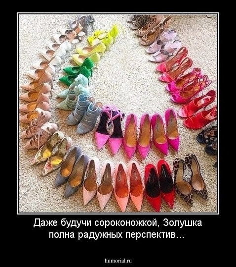 Даже будучи сороконожкой, Золушка полна радужных перспектив...