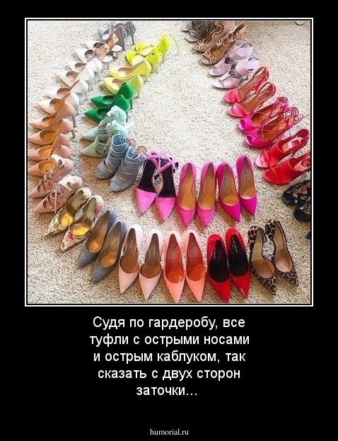 Судя по гардеробу, все туфли с острыми носами и острым каблуком, так сказать с двух сторон заточки...