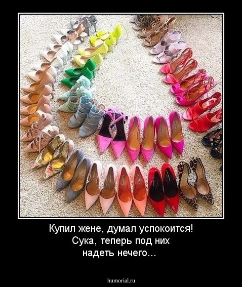 Купил жене, думал успокоится! Сука, теперь под них надеть нечего...