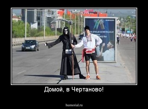 Домой, в Чертаново!