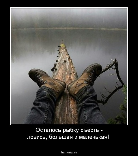 Осталось рыбку съесть - ловись, большая и маленькая!