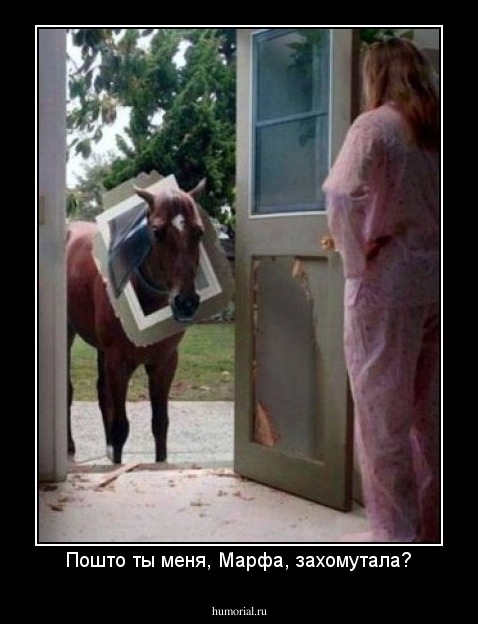 Пошто ты меня, Марфа, захомутала?