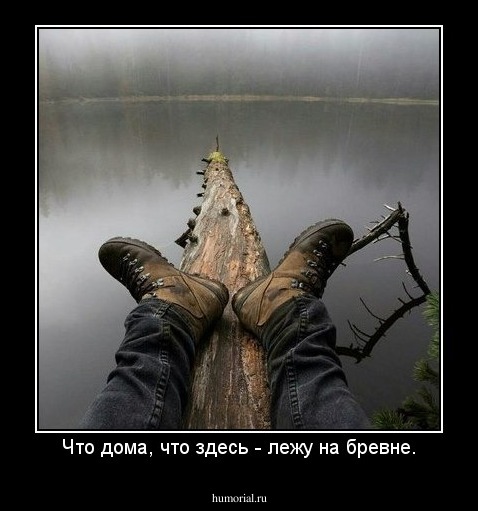 Что дома, что здесь - лежу на бревне.