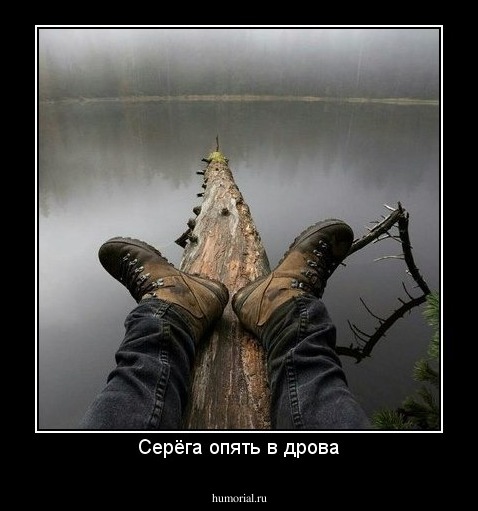Серёга опять в дрова
