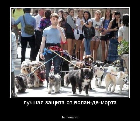 лучшая защита от волан-де-морта