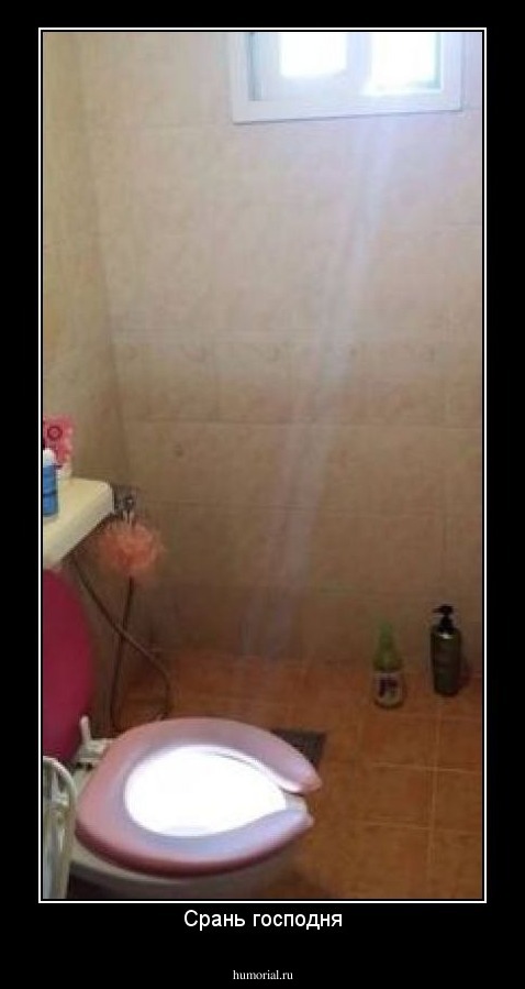 Срань господня