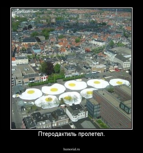 Птеродактиль пролетел.