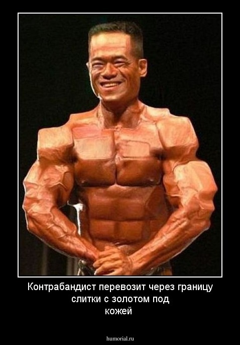 Контрабандист перевозит через границу слитки с золотом под кожей